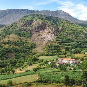 Disha , Tirana Albanien